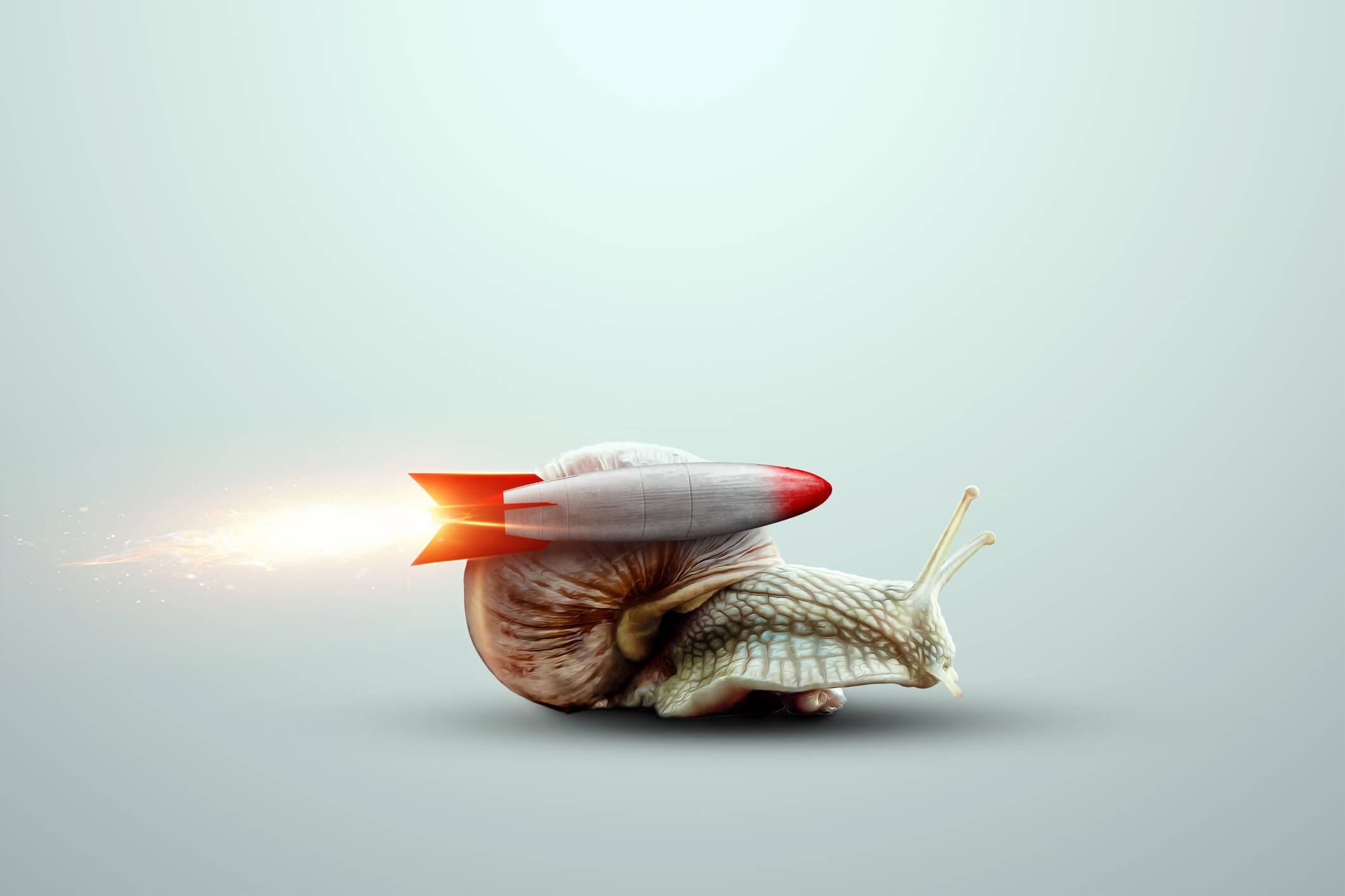A snail with a small rocket on its back.